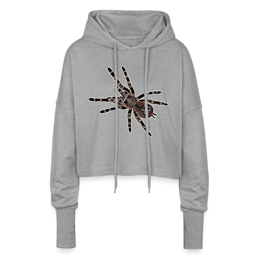 Frauen Cropped Hoodie Acanthoscurria geniculata - Grau meliert