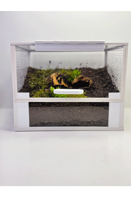 Eingerichtetes Terrarium für bodenbewohnende Vogelspinnen von vorne mit Erde, Pflanzen und Deko