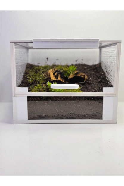 Eingerichtetes Terrarium für bodenbewohnende Vogelspinnen von vorne mit Erde, Pflanzen und Deko