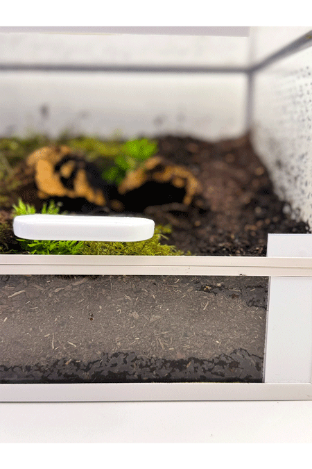 Nahaufnahme von der Fronttuer eines Bodenbewohner Terrariums mit viel Substrat und Einrichtung