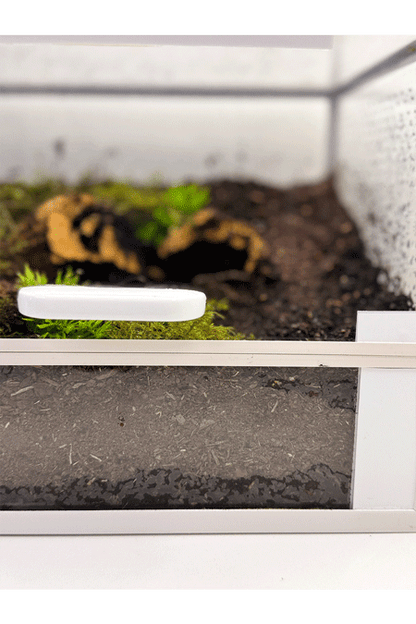Nahaufnahme von der Fronttuer eines Bodenbewohner Terrariums mit viel Substrat und Einrichtung