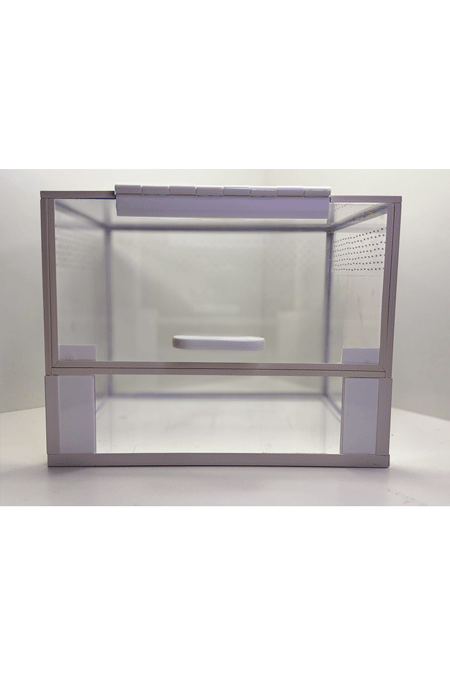 Frontansicht eines Vogelspinnen Terrariums