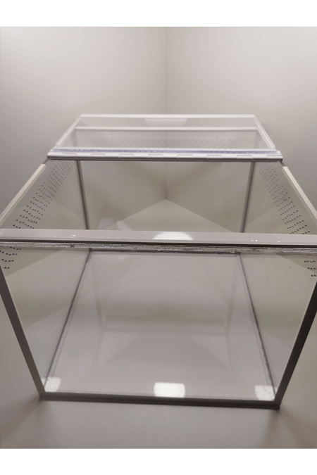 Vogelspinnen Terrarium mit offenem Deckel von oben