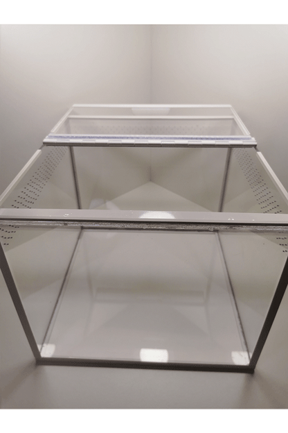 Vogelspinnen Terrarium mit offenem Deckel von oben