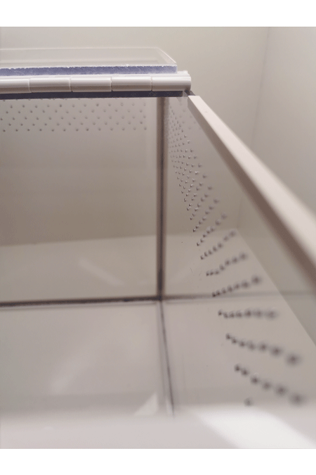 Detailansicht eines Vogelspinnen Terrarium von oben