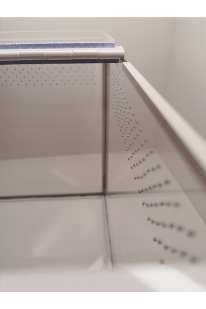 Detailansicht eines Vogelspinnen Terrarium von oben