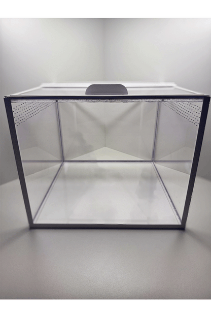 Vogelspinnen Terrarium von vorne mit extra viel Platz