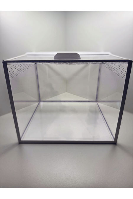 Vogelspinnen Terrarium von vorne mit extra viel Platz