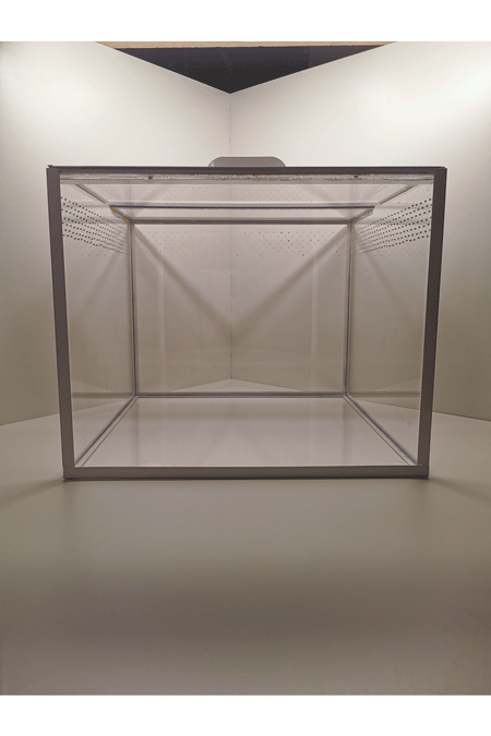Vogelspinnen Terrarium von vorne 