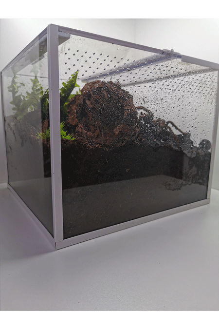 Eingerichtetes Vogelspinnen Terrarium von der Seite 