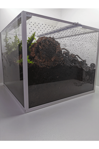 Eingerichtetes Vogelspinnen Terrarium von der Seite 