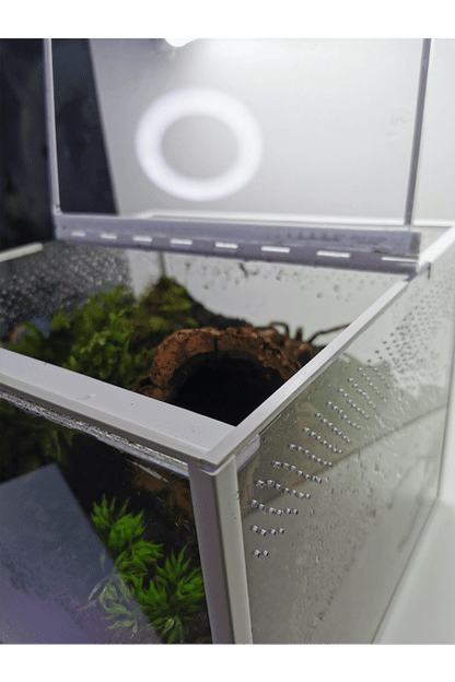 Vogelspinnen Terrarium mit Einrichtung und offenem Deckel