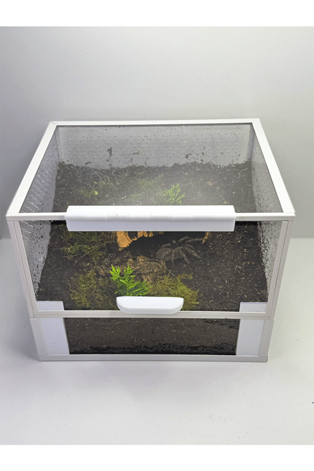 Bodenbewohner Terrarium für Vogelspinnen, eingerichtet mit Substrat und Versteckmöglichkeiten mit Aphonopelma seemanni 