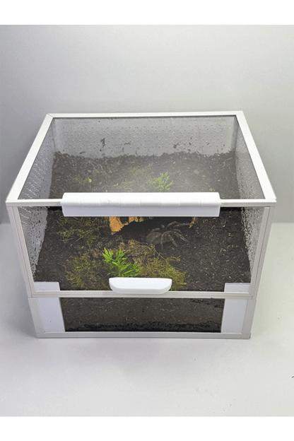 Bodenbewohner Terrarium für Vogelspinnen, eingerichtet mit Substrat und Versteckmöglichkeiten mit Aphonopelma seemanni 