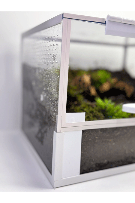 Nahaufnahme von der Seite eines Bodenbewohner Terrariums mit Erde und Einrichtung