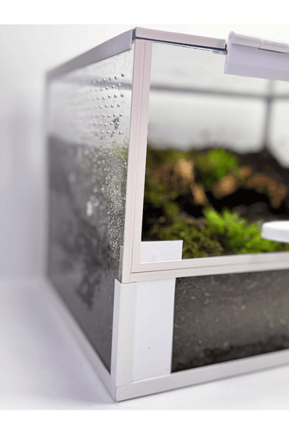 Nahaufnahme von der Seite eines Bodenbewohner Terrariums mit Erde und Einrichtung