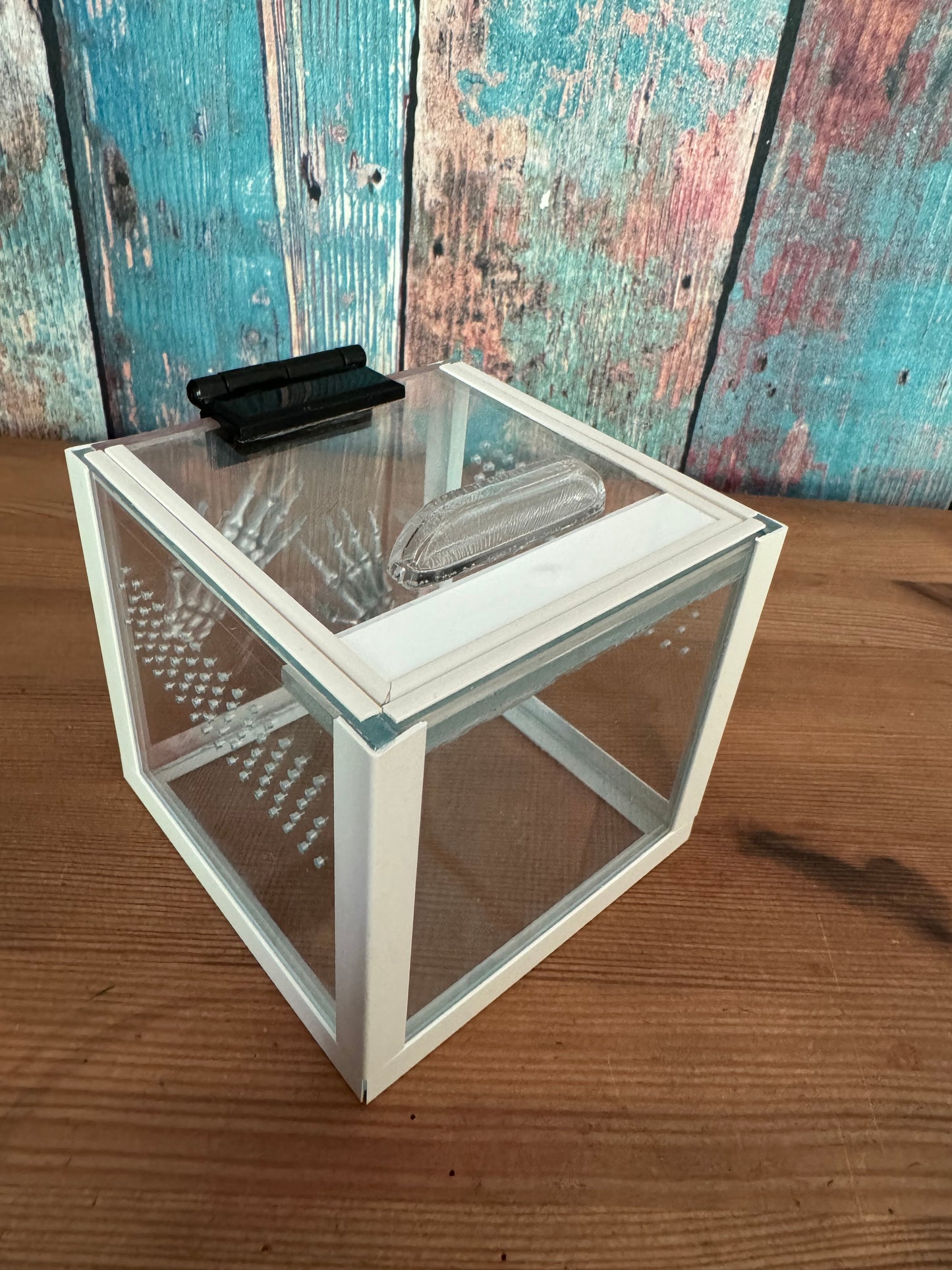 Mini Terrarienwürfel für Springspinnen und kleine Bodenbewohner zur Aufzucht mit Skeletthänden aus Epoxidharz