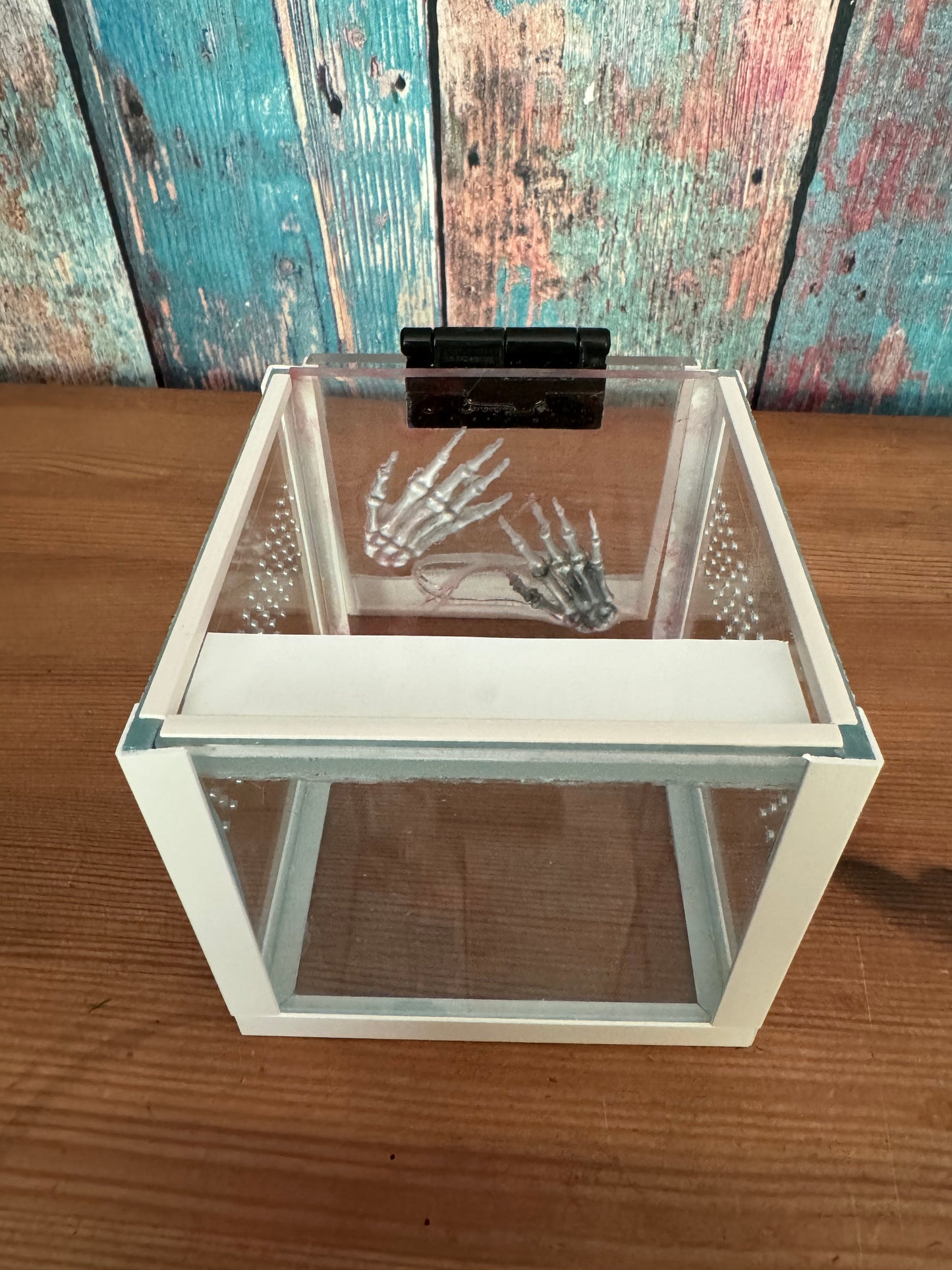 Mini Terrarien Würfel zur Aufzucht kleiner Bodenbewohner und Springspinnen mit Knochenhänden aus Epoxidharz