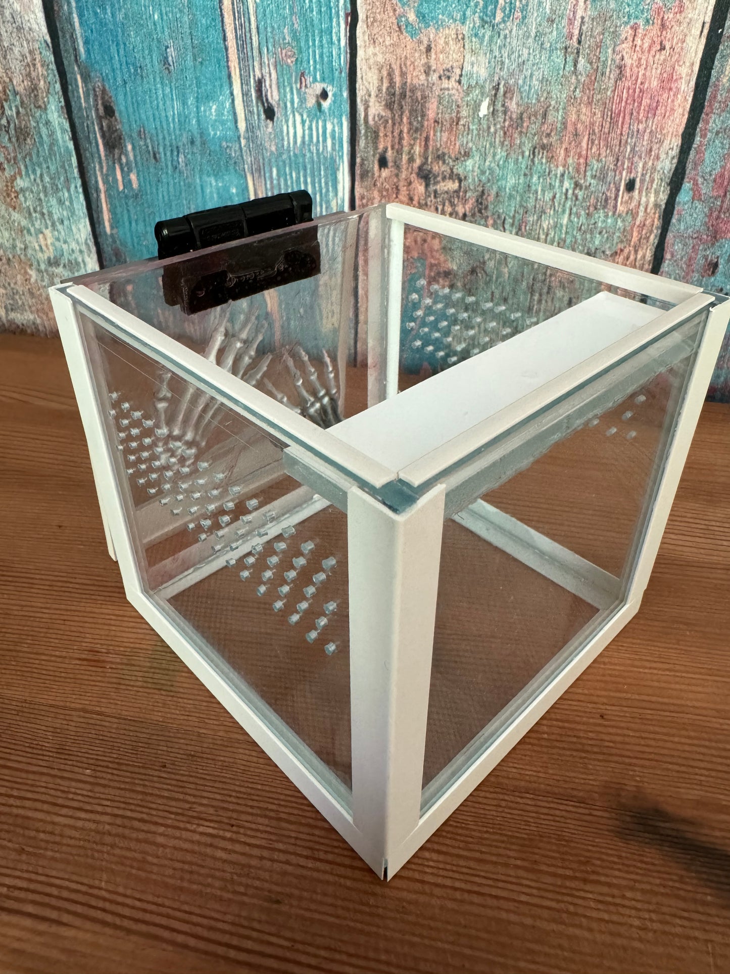 Würfel Terrarium für Springspinnen mit Knochenhänden aus Epoxidharz