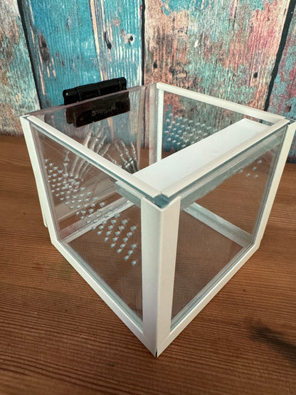 Würfel Terrarium für Springspinnen mit Knochenhänden aus Epoxidharz