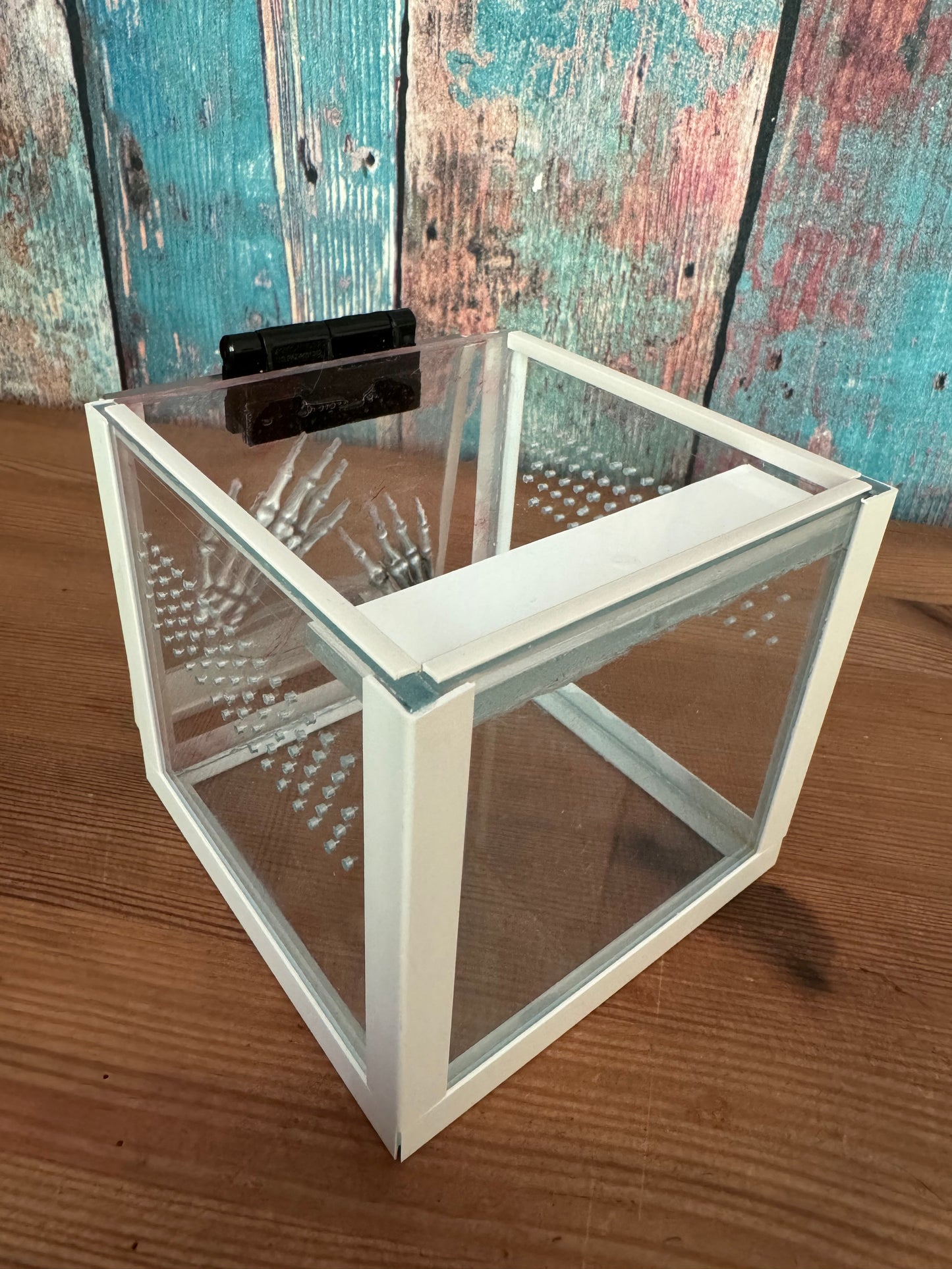 Terrarien Würfel für Springspinnen mit Knochenhänden aus Epoxidharz