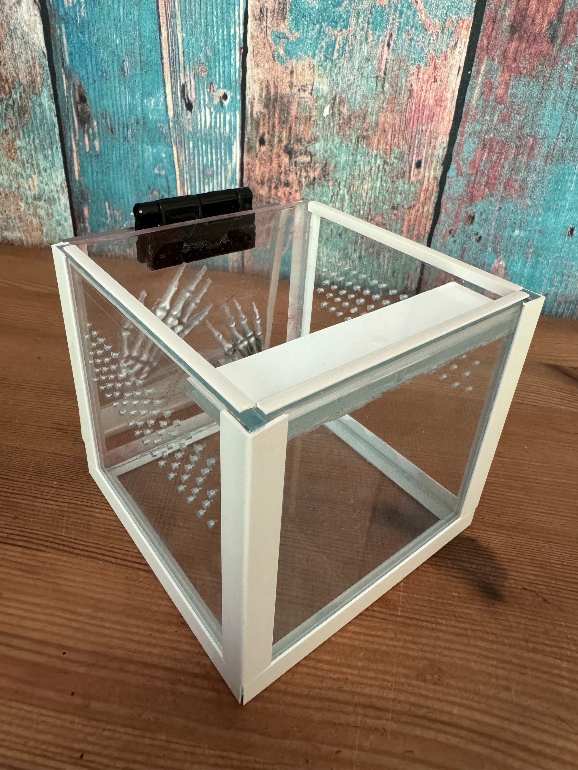 Terrarien Würfel für Springspinnen mit Knochenhänden aus Epoxidharz