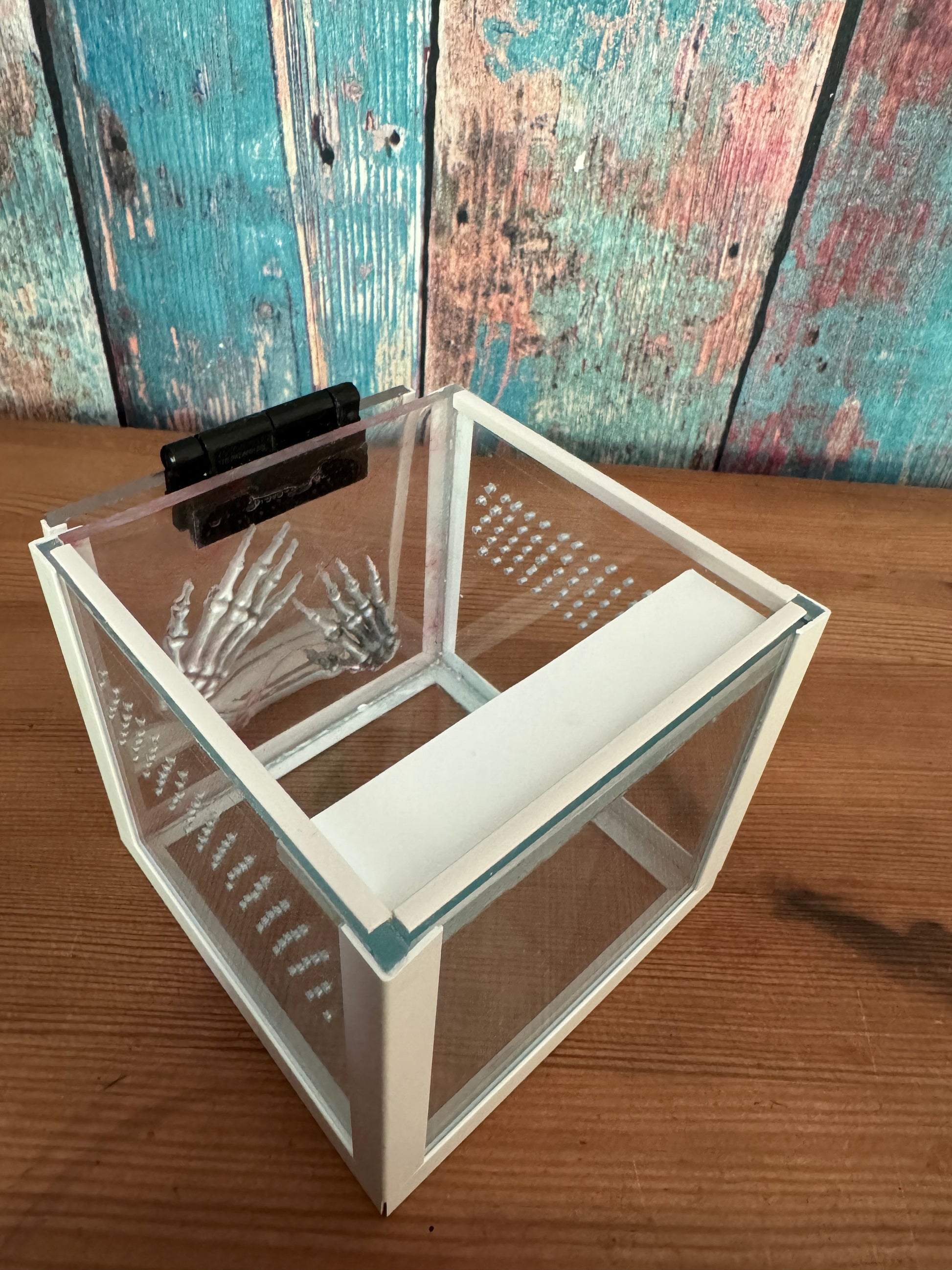 Terrarium für Springspinnen 