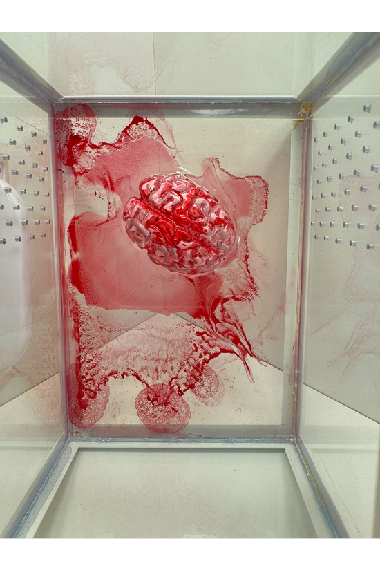 Blutiges Gehirn aus Epoxidharz in einem Terrarium für Springspinnen