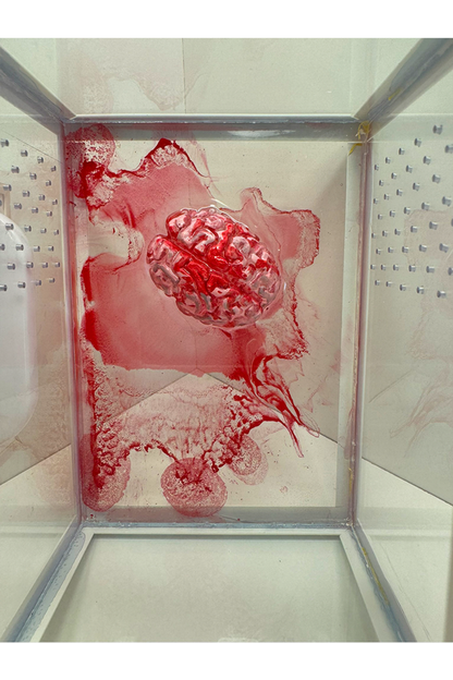 Blutiges Gehirn aus Epoxidharz in einem Terrarium für Springspinnen