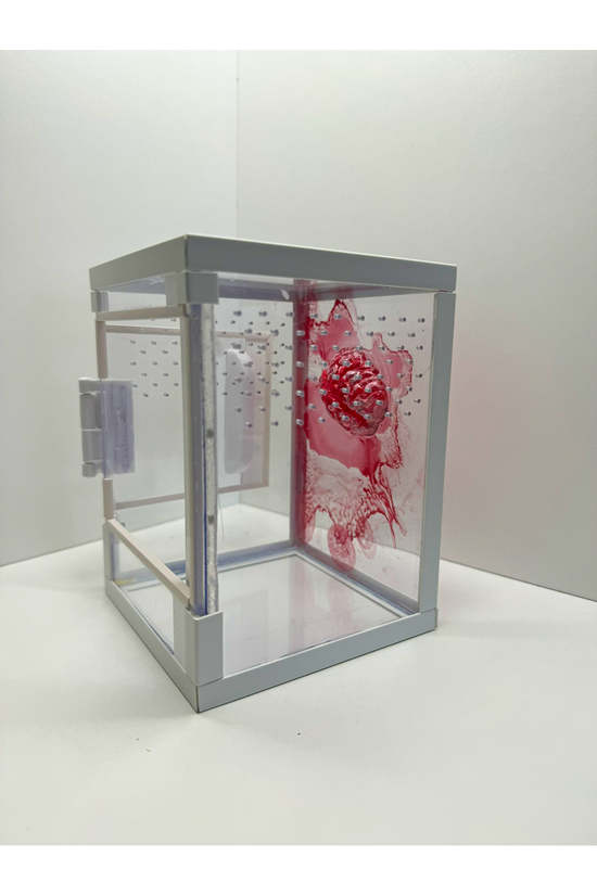 Terrarium für Springspinnen mit blutigem Gehirn aus Epoxidharz von der Seite