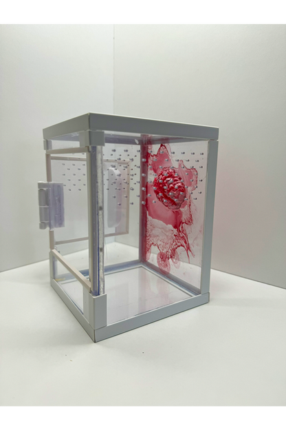 Terrarium für Springspinnen mit blutigem Gehirn aus Epoxidharz von der Seite