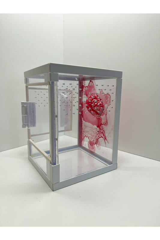 Terrarium für Springspinnen mit blutigem Gehirn aus Epoxidharz von der Seite