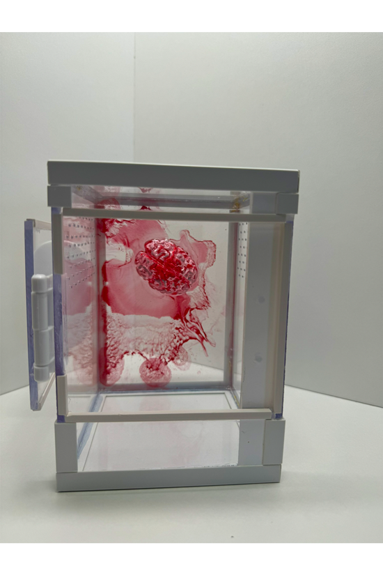 Tower Terrarium für Springspinnen mit blutigem Gehirn aus Epoxidharz