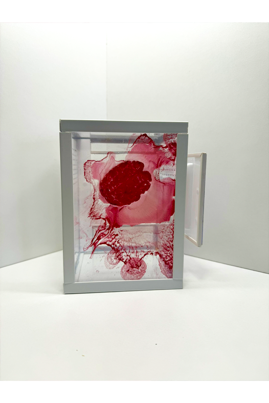 Springspinnen Terrarium mit blutigem Gehirn aus Epoxidharz