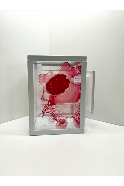 Springspinnen Terrarium mit blutigem Gehirn aus Epoxidharz