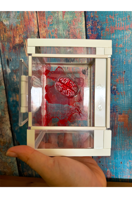 Tower Terrarium für Springspinnen und Baumbewohner mit blutigem Gehirn aus Epoxidharz