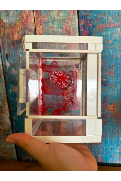 Tower Terrarium für Springspinnen und Baumbewohner mit blutigem Gehirn aus Epoxidharz