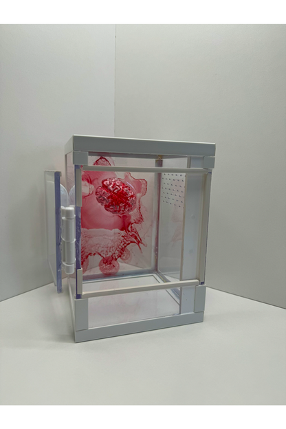 Springspinnen Terrarium mit blutigem Gehirn aus Epoxidharz