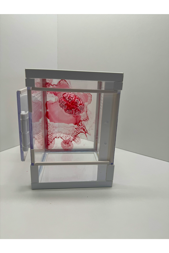 Terrarien Tower für Springspinnen und Baumbewohner mit blutigem Gehirn aus Epoxidharz