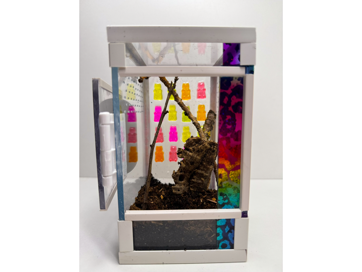 Acrylglasterrarium eingerichtetes Terrarium für Springspinnen mit Erde und Zweigen und bunten Gummibären aus Epoxidharz