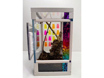 Acrylglasterrarium eingerichtetes Terrarium für Springspinnen mit Erde und Zweigen und bunten Gummibären aus Epoxidharz