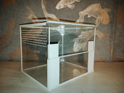 Bodenbewohner Terrarium *Basic M 30x25x25* Classic