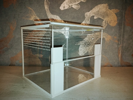 Bodenbewohner Terrarium *Basic M 30x25x25* Classic