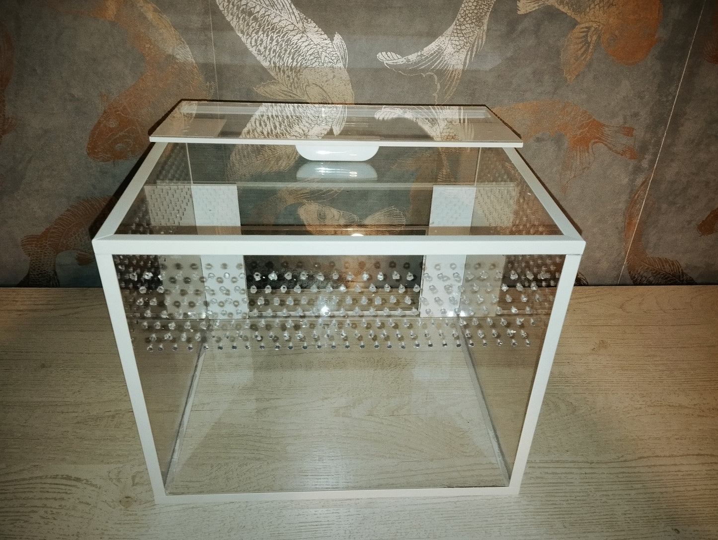 Bodenbewohner Terrarium *Basic M 30x25x25* Classic