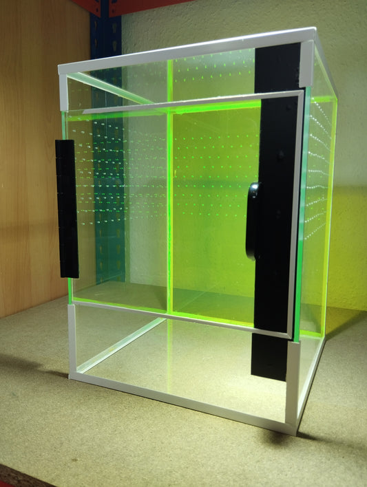 Tower Terrarium mit einer leuchtend bunten Rückwand aus fluoreszierendem Acrylglas