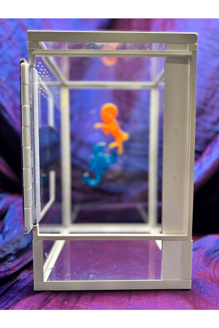 Terrarium fuer Springspinnen mit Sternzeichen in der Rueckwand und verschwommener Sicht