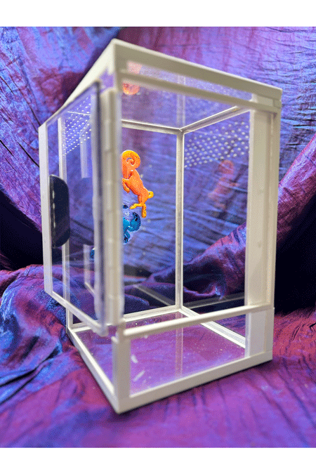 Terrarium für Springspinnen mit Sternzeichen aus Epoxidharz in der Rückwand von der Seite bei offener Tuer