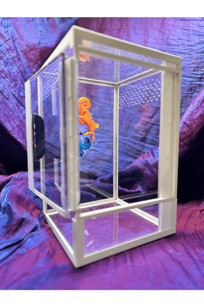 Terrarium für Springspinnen mit Sternzeichen aus Epoxidharz in der Rückwand von der Seite bei offener Tuer