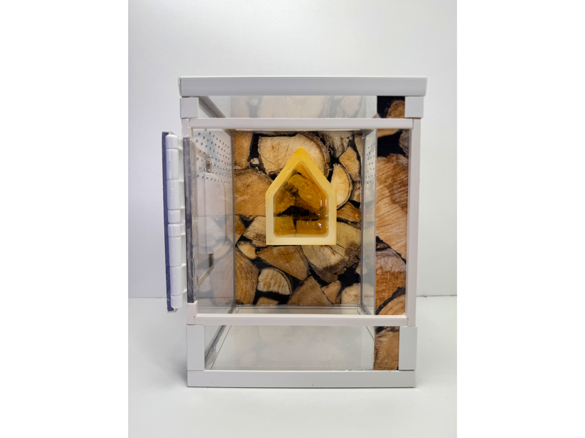 Acrylglasterrarium für Springspinnen und Baumbewohner mit folierter Rückwand in Holzoptik und Versteckmöglichkeit aus Epoxidharz
