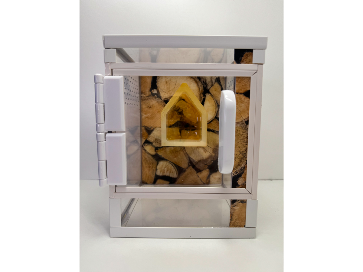 Acrylglasterrarium für Springspinnen und Baumbewohner mit folierter Rückwand in Holzoptik mit geschlossener Tuer